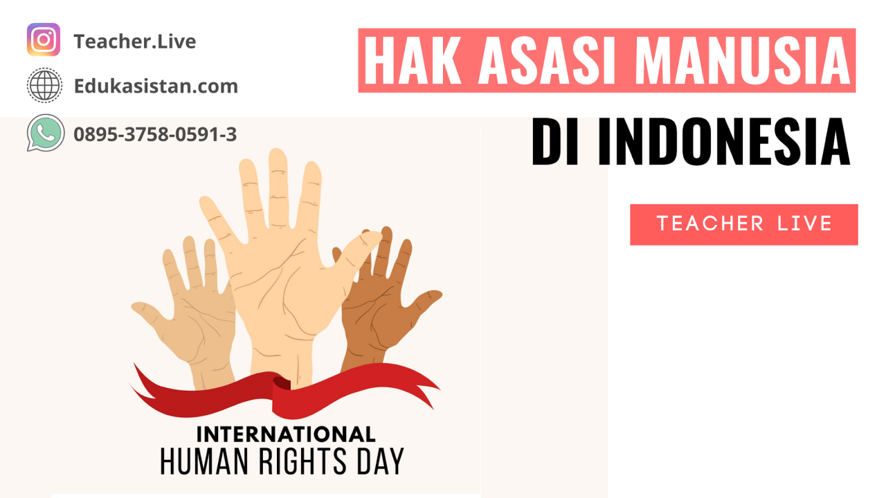 Apa Saja Hak Asasi Manusia Yang Perlu Diketahui